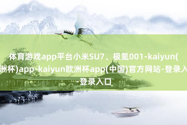 体育游戏app平台小米SU7、极氪001-kaiyun(欧洲杯)app-kaiyun欧洲杯app(中国)官方网站-登录入口