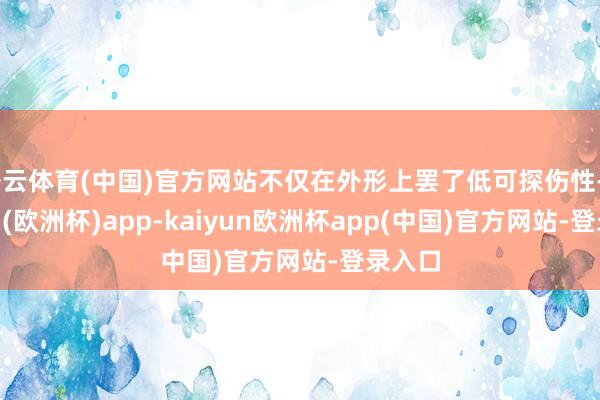 开云体育(中国)官方网站不仅在外形上罢了低可探伤性-kaiyun(欧洲杯)app-kaiyun欧洲杯app(中国)官方网站-登录入口
