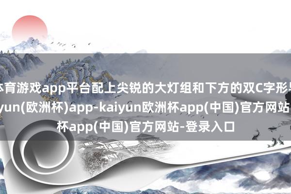 体育游戏app平台配上尖锐的大灯组和下方的双C字形导流槽-kaiyun(欧洲杯)app-kaiyun欧洲杯app(中国)官方网站-登录入口