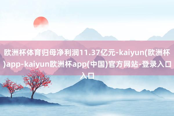 欧洲杯体育归母净利润11.37亿元-kaiyun(欧洲杯)app-kaiyun欧洲杯app(中国)官方网站-登录入口