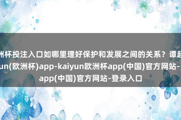 欧洲杯投注入口如哪里理好保护和发展之间的关系?谭超先容-kaiyun(欧洲杯)app-kaiyun欧洲杯app(中国)官方网站-登录入口