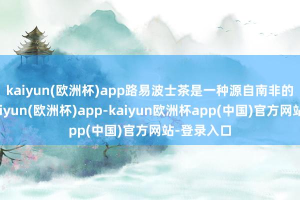 kaiyun(欧洲杯)app　　路易波士茶是一种源自南非的茶品类-kaiyun(欧洲杯)app-kaiyun欧洲杯app(中国)官方网站-登录入口
