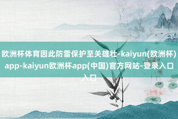 欧洲杯体育因此防雷保护至关雄壮-kaiyun(欧洲杯)app-kaiyun欧洲杯app(中国)官方网站-登录入口