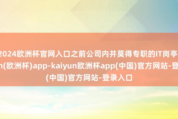 2024欧洲杯官网入口之前公司内并莫得专职的IT岗亭-kaiyun(欧洲杯)app-kaiyun欧洲杯app(中国)官方网站-登录入口