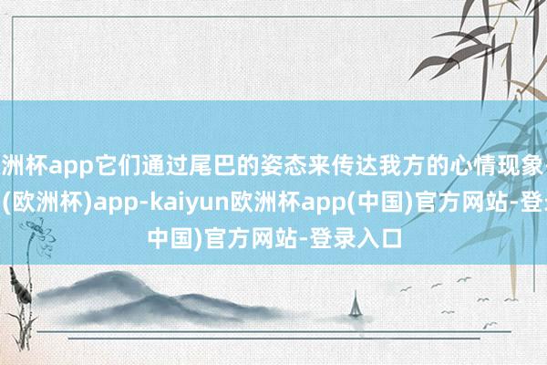 欧洲杯app它们通过尾巴的姿态来传达我方的心情现象-kaiyun(欧洲杯)app-kaiyun欧洲杯app(中国)官方网站-登录入口