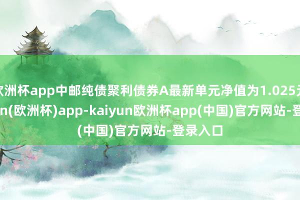 欧洲杯app中邮纯债聚利债券A最新单元净值为1.025元-kaiyun(欧洲杯)app-kaiyun欧洲杯app(中国)官方网站-登录入口