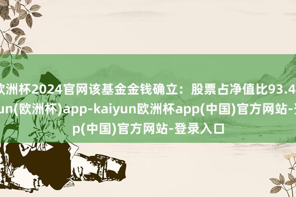 欧洲杯2024官网该基金金钱确立：股票占净值比93.46%-kaiyun(欧洲杯)app-kaiyun欧洲杯app(中国)官方网站-登录入口