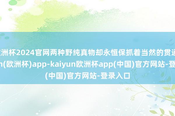 欧洲杯2024官网两种野纯真物却永恒保抓着当然的贯通-kaiyun(欧洲杯)app-kaiyun欧洲杯app(中国)官方网站-登录入口