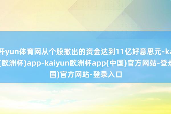 开yun体育网从个股撤出的资金达到11亿好意思元-kaiyun(欧洲杯)app-kaiyun欧洲杯app(中国)官方网站-登录入口