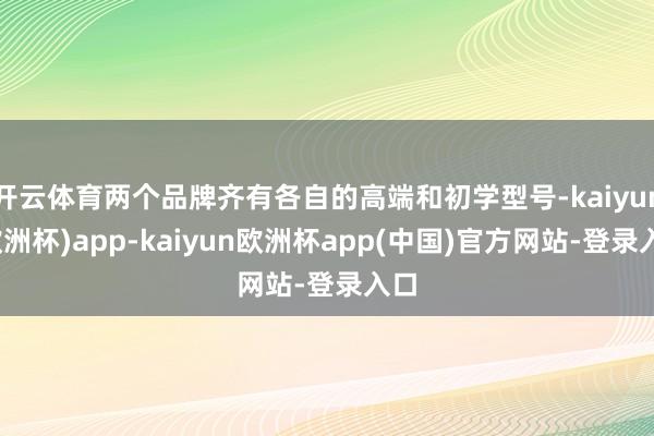 开云体育两个品牌齐有各自的高端和初学型号-kaiyun(欧洲杯)app-kaiyun欧洲杯app(中国)官方网站-登录入口