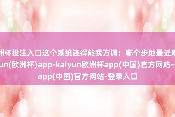 欧洲杯投注入口这个系统还得能我方调：哪个步地最近赚太多-kaiyun(欧洲杯)app-kaiyun欧洲杯app(中国)官方网站-登录入口