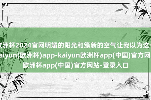 欧洲杯2024官网明媚的阳光和簇新的空气让我以为这一切齐值得-kaiyun(欧洲杯)app-kaiyun欧洲杯app(中国)官方网站-登录入口