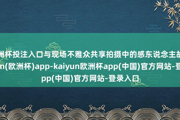 欧洲杯投注入口与现场不雅众共享拍摄中的感东说念主故事-kaiyun(欧洲杯)app-kaiyun欧洲杯app(中国)官方网站-登录入口