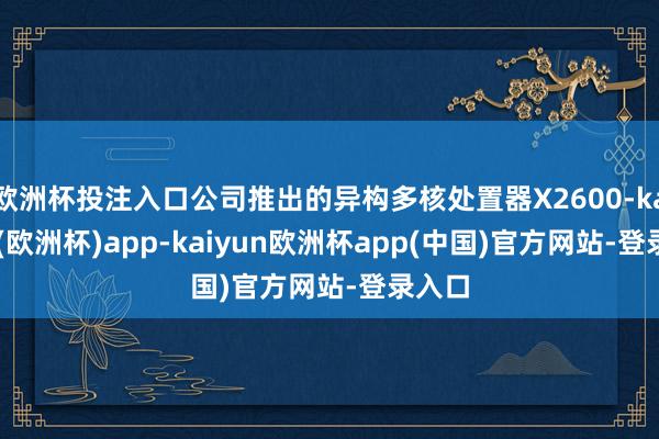欧洲杯投注入口公司推出的异构多核处置器X2600-kaiyun(欧洲杯)app-kaiyun欧洲杯app(中国)官方网站-登录入口