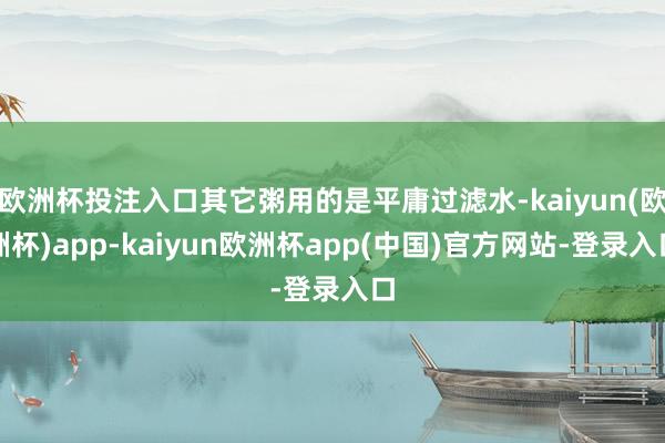 欧洲杯投注入口其它粥用的是平庸过滤水-kaiyun(欧洲杯)app-kaiyun欧洲杯app(中国)官方网站-登录入口