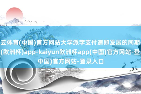 开云体育(中国)官方网站大学派字支付速即发展的同期-kaiyun(欧洲杯)app-kaiyun欧洲杯app(中国)官方网站-登录入口