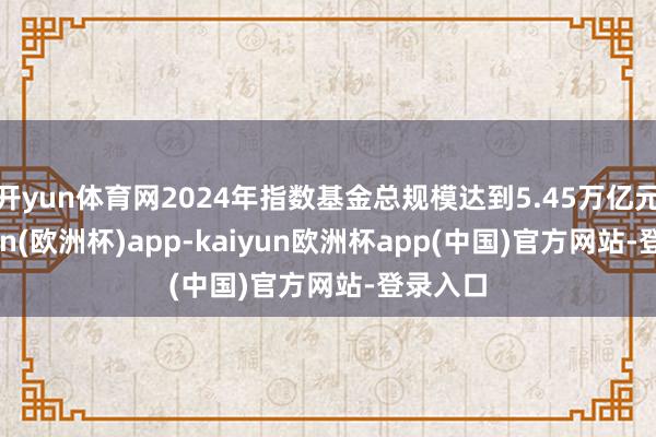 开yun体育网2024年指数基金总规模达到5.45万亿元-kaiyun(欧洲杯)app-kaiyun欧洲杯app(中国)官方网站-登录入口