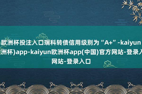 欧洲杯投注入口瑞科转债信用级别为“A+”-kaiyun(欧洲杯)app-kaiyun欧洲杯app(中国)官方网站-登录入口