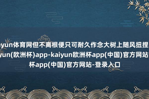 开yun体育网但不离根便只可耐久作念大树上随风扭捏的花儿-kaiyun(欧洲杯)app-kaiyun欧洲杯app(中国)官方网站-登录入口