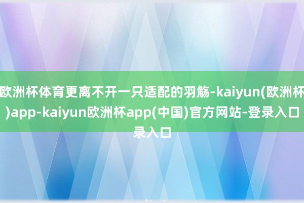 欧洲杯体育更离不开一只适配的羽觞-kaiyun(欧洲杯)app-kaiyun欧洲杯app(中国)官方网站-登录入口