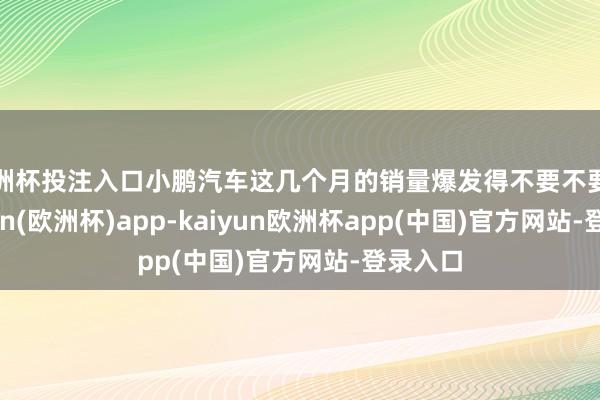 欧洲杯投注入口小鹏汽车这几个月的销量爆发得不要不要的-kaiyun(欧洲杯)app-kaiyun欧洲杯app(中国)官方网站-登录入口