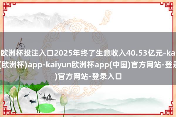 欧洲杯投注入口2025年终了生意收入40.53亿元-kaiyun(欧洲杯)app-kaiyun欧洲杯app(中国)官方网站-登录入口