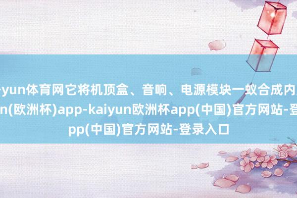 开yun体育网它将机顶盒、音响、电源模块一蚁合成内置-kaiyun(欧洲杯)app-kaiyun欧洲杯app(中国)官方网站-登录入口